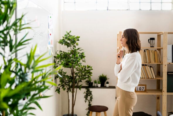 Hotel business plan: Beginners guide